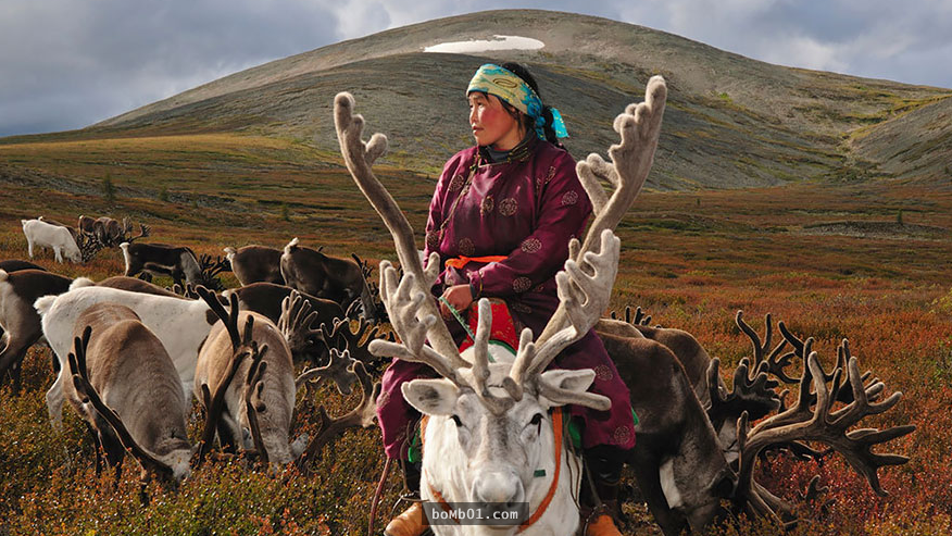 攝影師拍下蒙古遊牧民族難得且神秘的生活照 以馴鹿為生的他們充滿著奇幻的色彩 Xoer