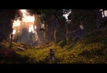 《地平線:零之曙光》公開PC版配置要求 8月7日發售