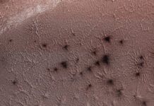 研究人員揭開火星神秘「蜘蛛」地形面紗